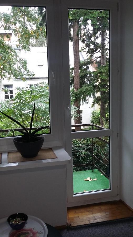 Animrumru Warszawa Exteriör bild